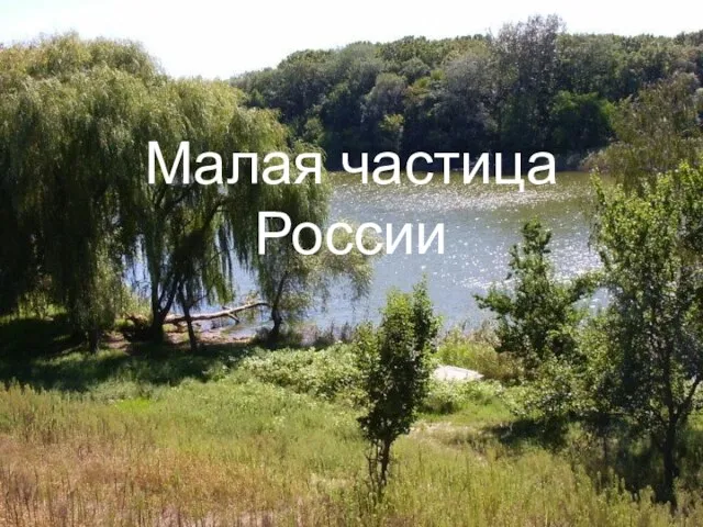 Малая частица России