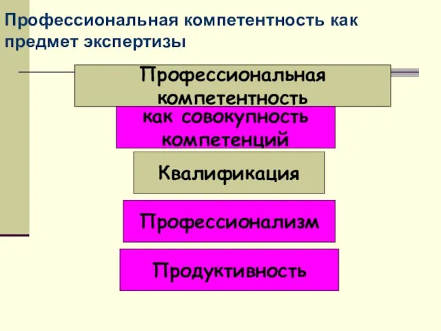 Профессиональная компетентность как предмет экспертизы Квалификация Профессиональная компетентность как совокупность компетенций Продуктивность Профессионализм