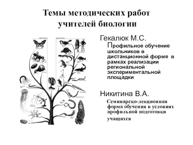 Темы методических работ учителей биологии Гекалюк М.С. Профильное обучение школьников в дистанционной