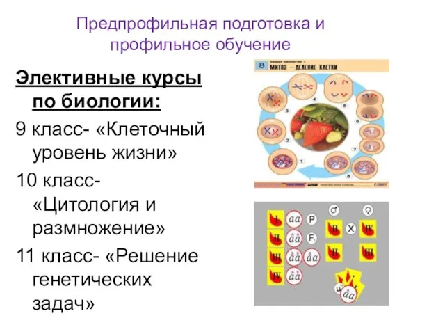 Предпрофильная подготовка и профильное обучение Элективные курсы по биологии: 9 класс- «Клеточный