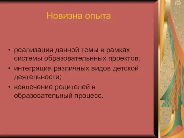 Новизна опыта реализация данной темы в рамках системы образовательнных проектов; интеграция различных