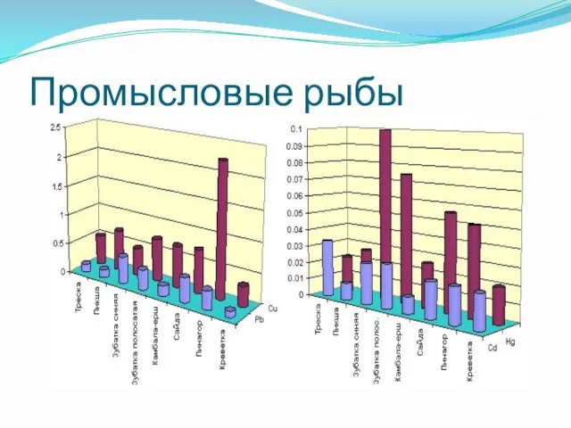 Промысловые рыбы