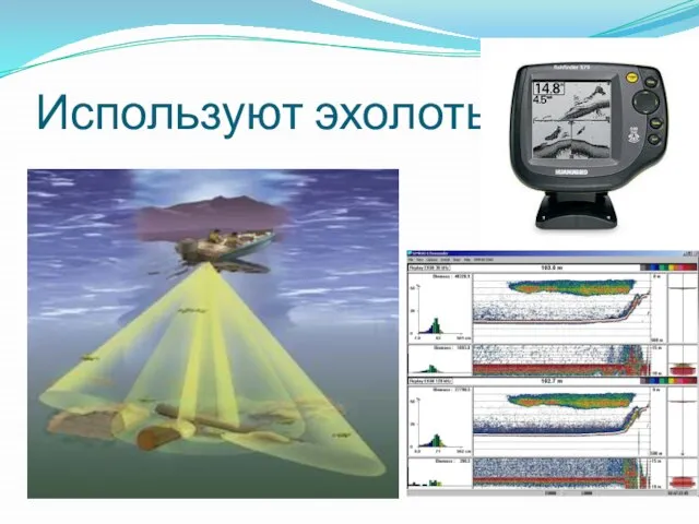 Используют эхолоты