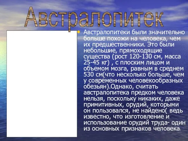 Австралопитеки были значительно больше похожи на человека, чем их предшественники. Это были