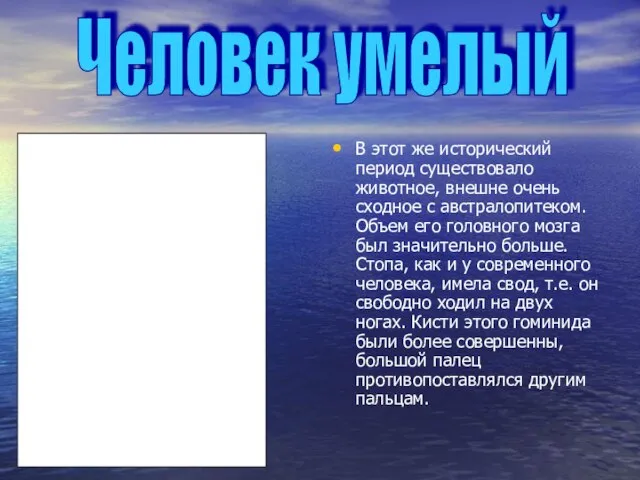 В этот же исторический период существовало животное, внешне очень сходное с австралопитеком.