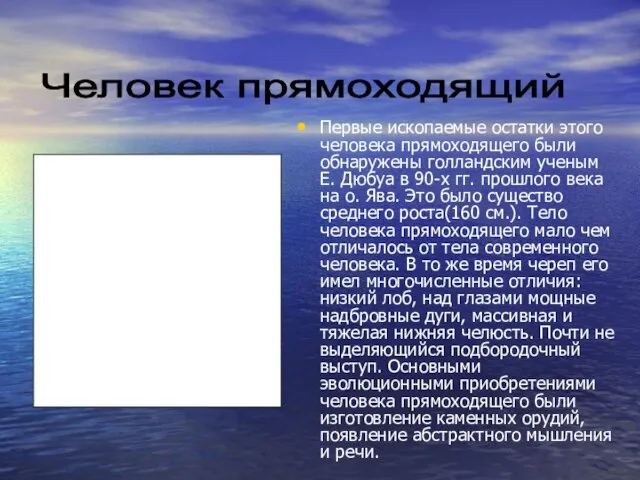 Первые ископаемые остатки этого человека прямоходящего были обнаружены голландским ученым Е. Дюбуа