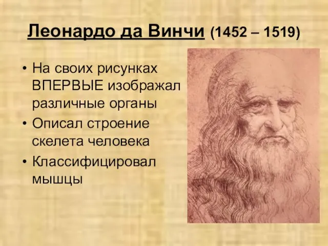 Леонардо да Винчи (1452 – 1519) На своих рисунках ВПЕРВЫЕ изображал различные