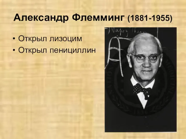 Александр Флемминг (1881-1955) Открыл лизоцим Открыл пенициллин