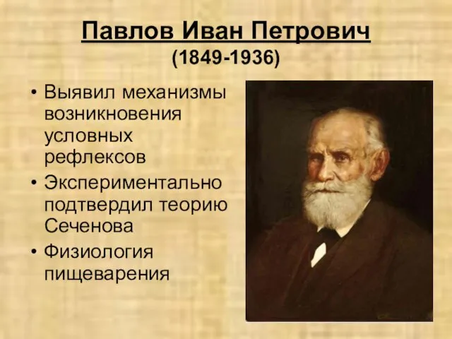 Павлов Иван Петрович (1849-1936) Выявил механизмы возникновения условных рефлексов Экспериментально подтвердил теорию Сеченова Физиология пищеварения