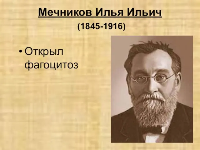 Мечников Илья Ильич (1845-1916) Открыл фагоцитоз