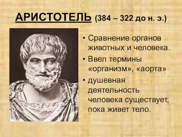 АРИСТОТЕЛЬ (384 – 322 до н. э.) Сравнение органов животных и человека.