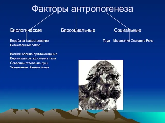 Факторы антропогенеза Биологические Биосоциальные Социальные Борьба за существование Труд Мышление Сознание Речь