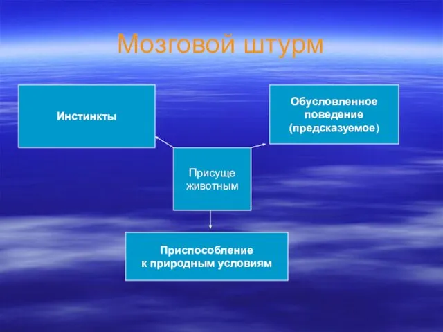 Мозговой штурм Присуще животным Инстинкты Обусловленное поведение (предсказуемое) Приспособление к природным условиям