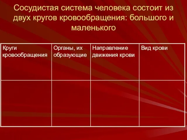 Сосудистая система человека состоит из двух кругов кровообращения: большого и маленького