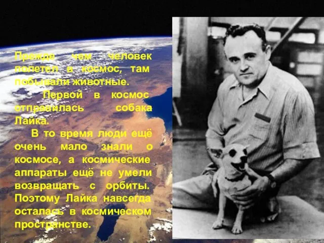 Прежде чем человек полетел в космос, там побывали животные. Первой в космос