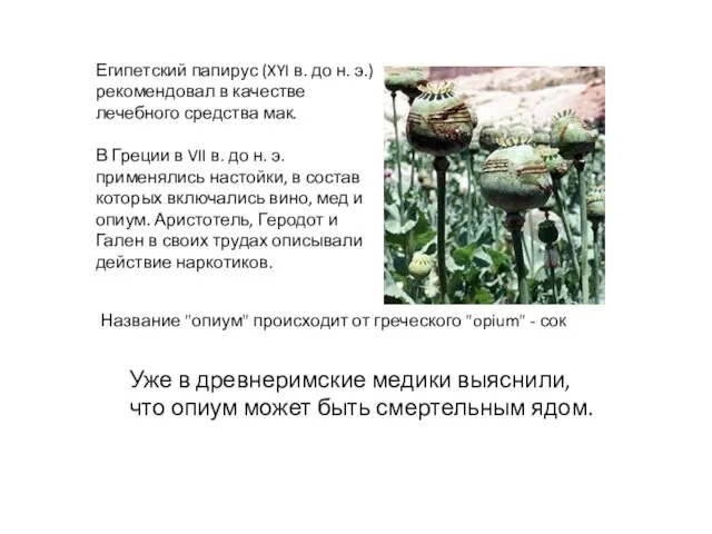 Египетский папирус (XYI в. до н. э.) рекомендовал в качестве лечебного средства