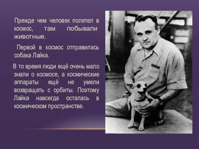 Прежде чем человек полетел в космос, там побывали животные. Первой в космос