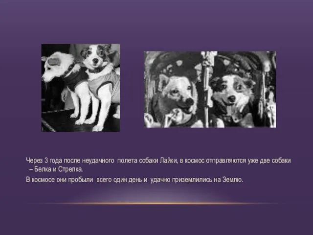 Через 3 года после неудачного полета собаки Лайки, в космос отправляются уже