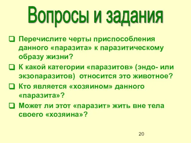 Перечислите черты приспособления данного «паразита» к паразитическому образу жизни? К какой категории