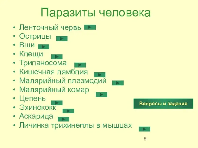 Паразиты человека Ленточный червь Острицы Вши Клещи Трипаносома Кишечная лямблия Малярийный плазмодий