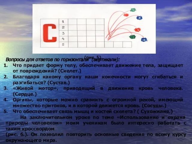 (рис. 5) Вопросы для ответов по горизонтали (вертикали): Что придает форму телу,