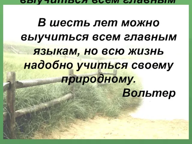 В шесть лет можно выучиться всем главным языкам, но всю жизнь надобно