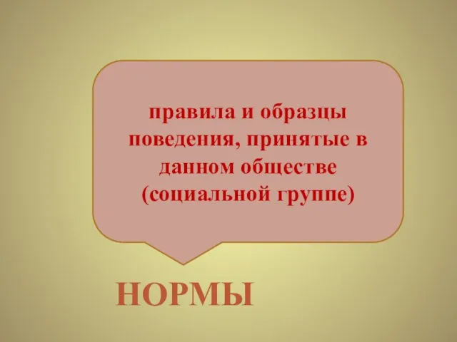 правила и образцы поведения, принятые в данном обществе (социальной группе) НОРМЫ