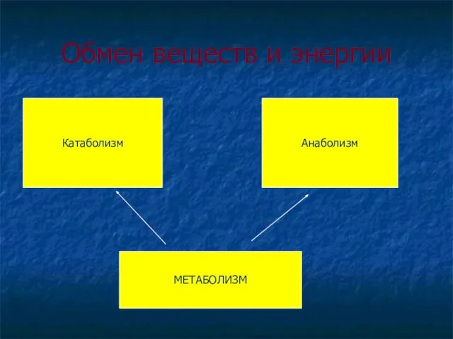 Обмен веществ и энергии Анаболизм Катаболизм МЕТАБОЛИЗМ