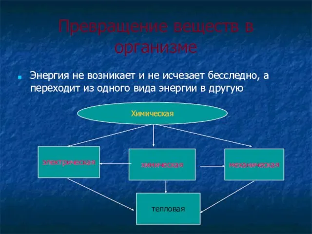 Превращение веществ в организме Энергия не возникает и не исчезает бесследно, а