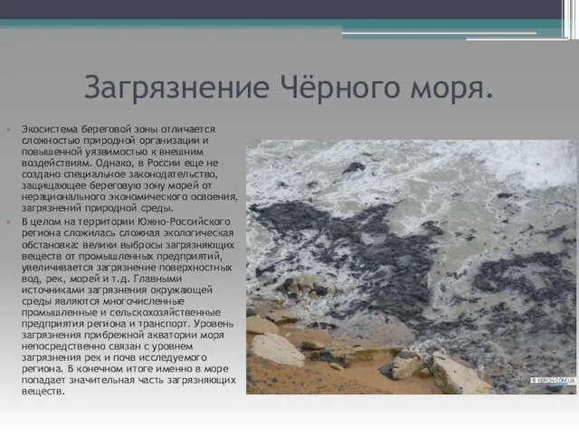 Загрязнение Чёрного моря. Экосистема береговой зоны отличается сложностью природной организации и повышенной