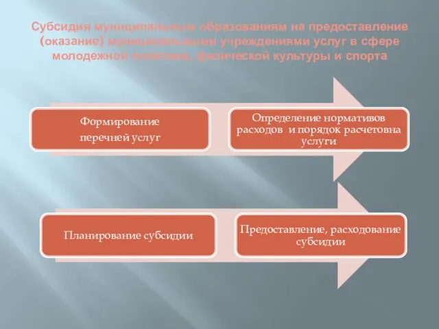 Субсидия муниципальным образованиям на предоставление (оказание) муниципальными учреждениями услуг в сфере молодежной