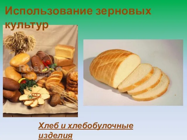 Использование зерновых культур Хлеб и хлебобулочные изделия