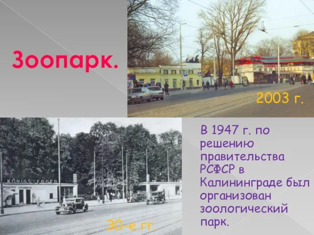 В 1947 г. по решению правительства РСФСР в Калининграде был организован зоологический