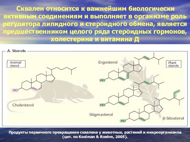 Продукты первичного превращения сквалена у животных, растений и микроорганизмов (цит. по Koolman