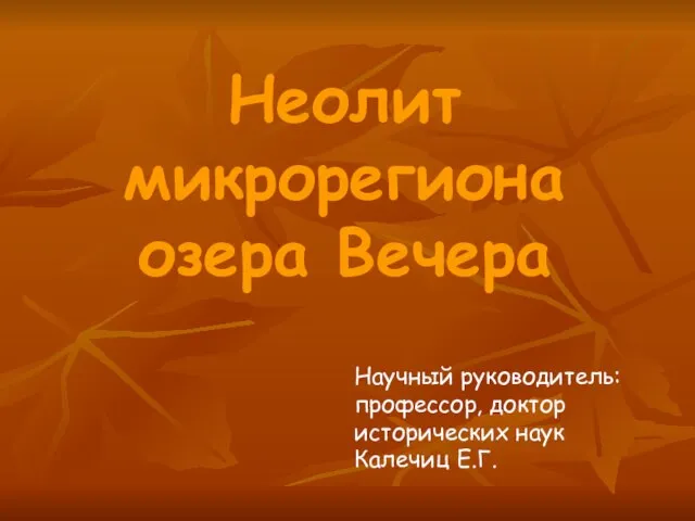 Научный руководитель: профессор, доктор исторических наук Калечиц Е.Г. Неолит микрорегиона озера Вечера