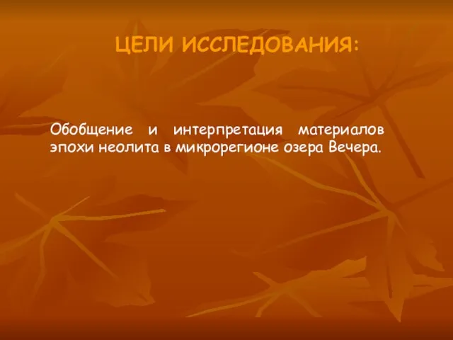 ЦЕЛИ ИССЛЕДОВАНИЯ: Обобщение и интерпретация материалов эпохи неолита в микрорегионе озера Вечера.