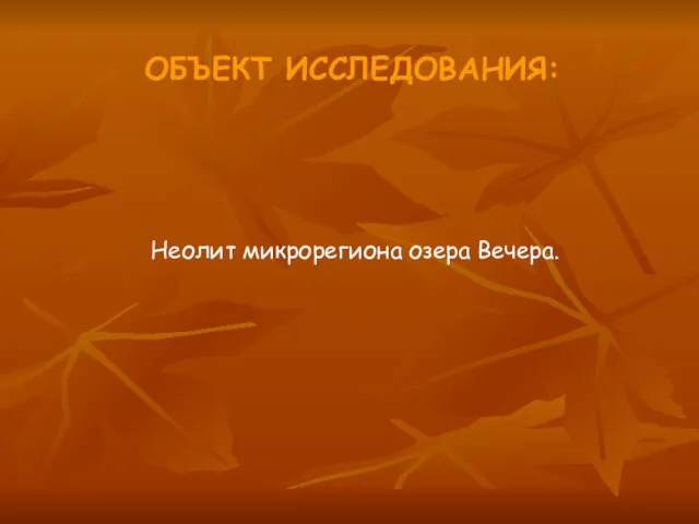 ОБЪЕКТ ИССЛЕДОВАНИЯ: Неолит микрорегиона озера Вечера.