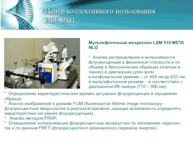 Мультифотонный микроскоп LSM 510 META NLO * Анализ распределения и интенсивности флуоресценции