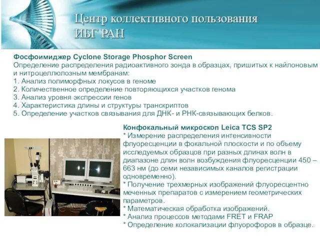 Фосфоимиджер Cyclone Storage Phosphor Screen Определение распределения радиоактивного зонда в образцах, пришитых