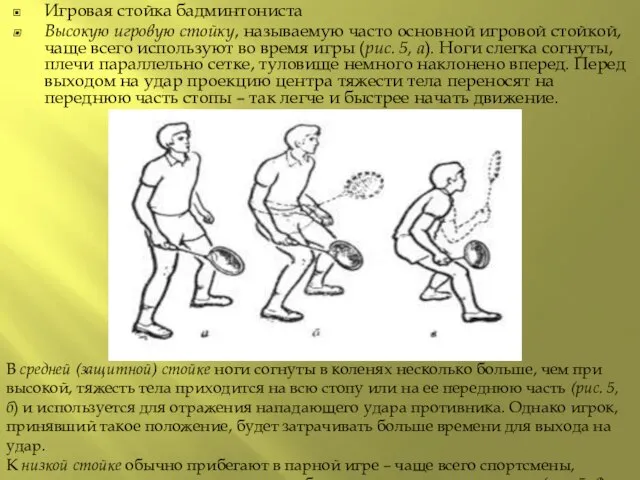 Игровая стойка бадминтониста Высокую игровую стойку, называемую часто основной игровой стойкой, чаще