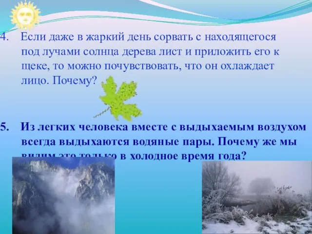 Если даже в жаркий день сорвать с находящегося под лучами солнца дерева