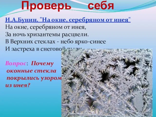 Проверь себя И.А.Бунин. "На окне, серебряном от инея" На окне, серебряном от