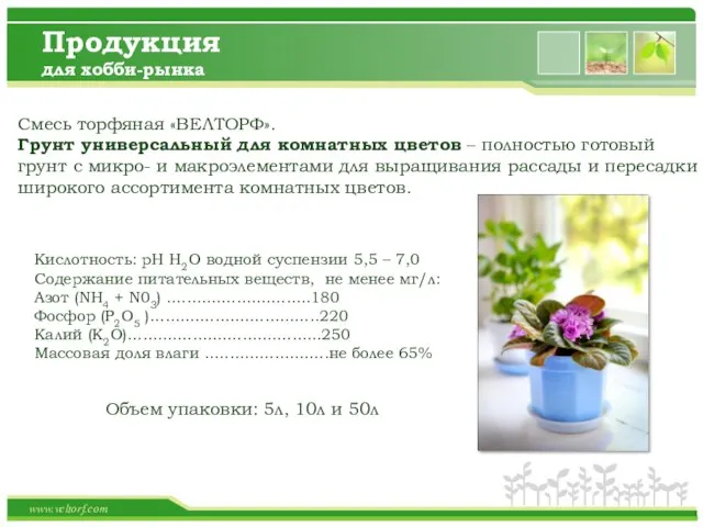 Description of the contents Description of the company’s products Description of the