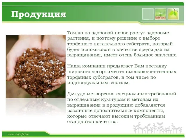 Продукция Text in here Text in here Text in here Text in