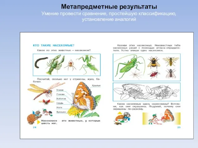 Метапредметные результаты Умение провести сравнение, простейшую классификацию, установление аналогий