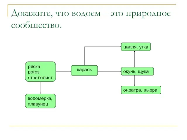 Докажите, что водоем – это природное сообщество.