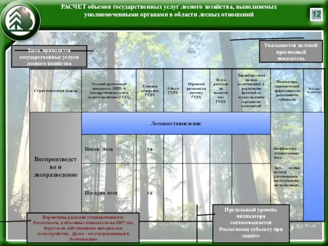 РАСЧЕТ объемов государственных услуг лесного хозяйства, выполняемых уполномоченными органами в области лесных