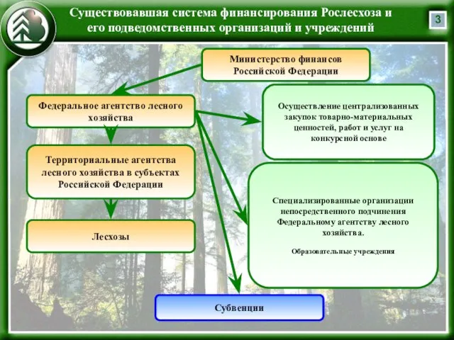 Существовавшая система финансирования Рослесхоза и его подведомственных организаций и учреждений Министерство финансов