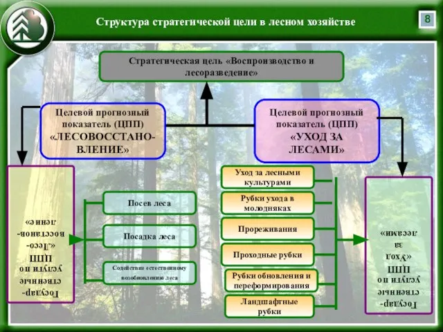 Целевой прогнозный показатель (ЦПП) «ЛЕСОВОССТАНО-ВЛЕНИЕ» Стратегическая цель «Воспроизводство и лесоразведение» Структура стратегической