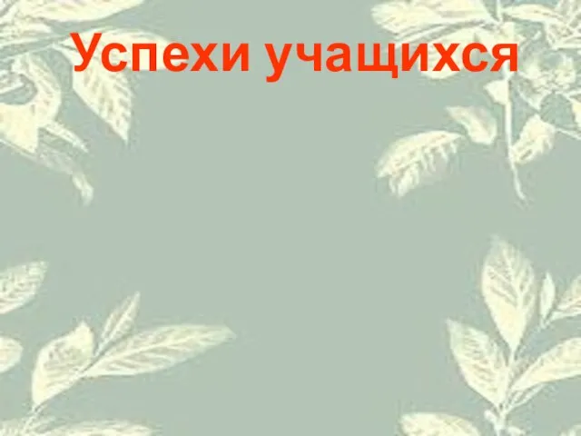 Успехи учащихся